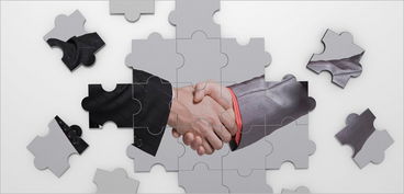 湖南軟件外包服務(wù)市場(chǎng) 探尋專業(yè)程度高的服務(wù)公司